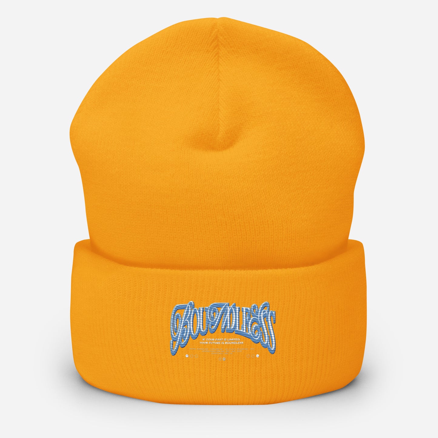 Cuffed Beanie