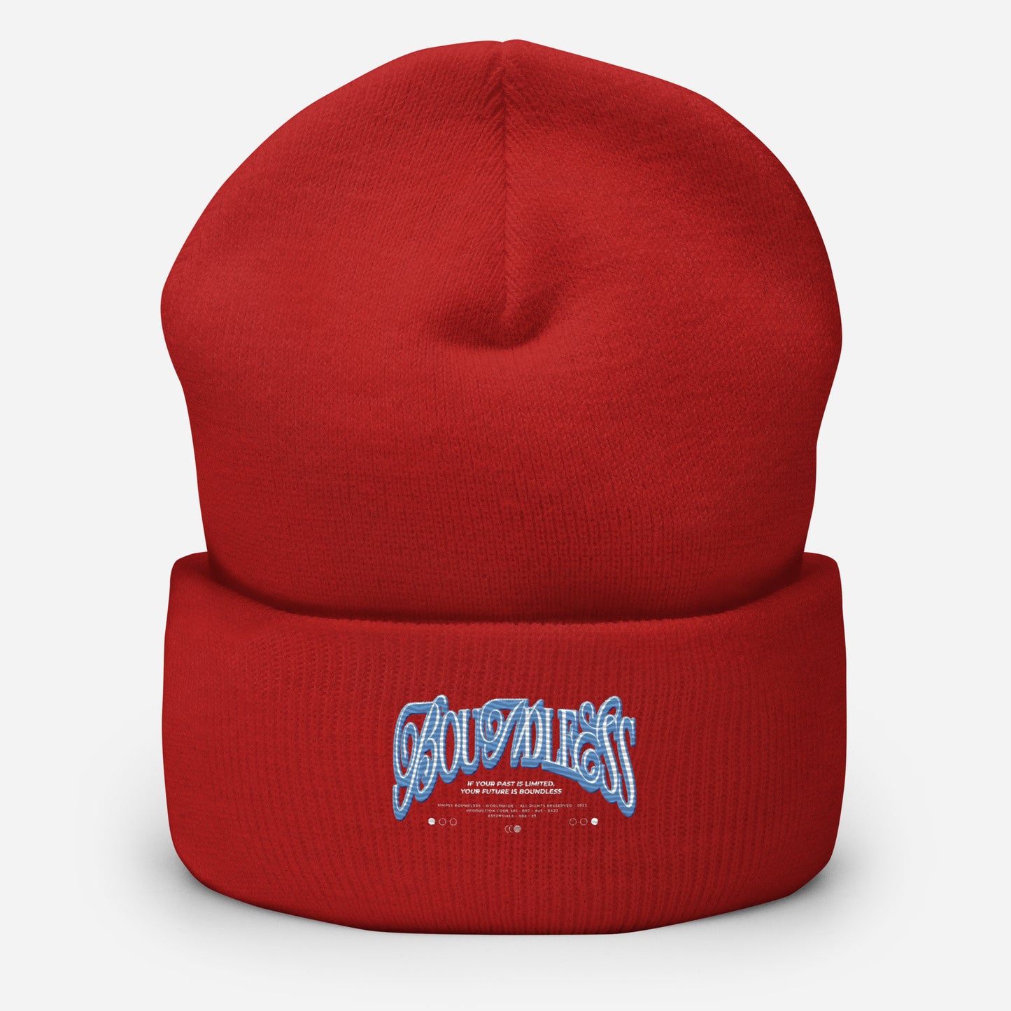 Cuffed Beanie
